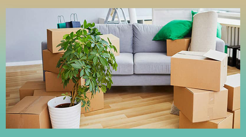 Plant Relocation Services